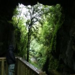 Through Looking through the bridge.