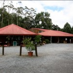 Honey2 The Honey Centre