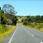 Road The Long & Winding Road