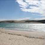 Dunes Dunes Near Kaitaia